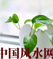 衡水家中摆放六种吉祥物，会打开您的财运大门！