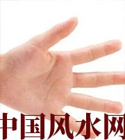 衡水哪些人很难抓住财运？