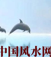 衡水做梦梦到这些，是要富裕的征兆！